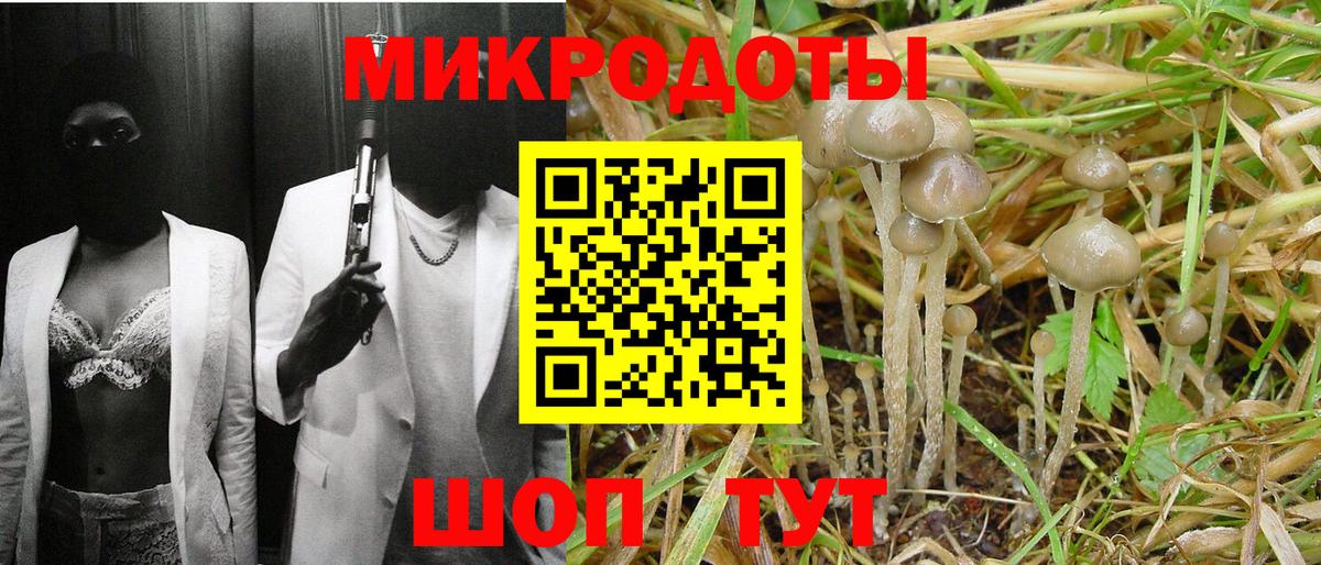 Галлюциногенные грибы Psilocybe Сатка