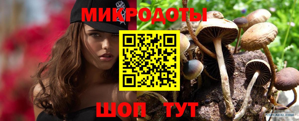 Галлюциногенные грибы Psilocybine cubensis  Вход с VPN  Сатка 